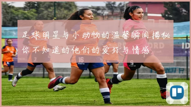 足球明星与小动物的温馨瞬间揭秘你不知道的他们的爱好与情感