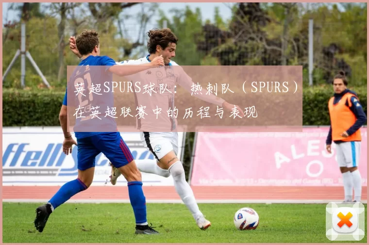 英超SPURS球队：热刺队（SPURS）在英超联赛中的历程与表现