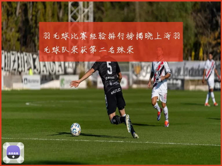 羽毛球比赛经验排行榜揭晓上海羽毛球队荣获第二名殊荣