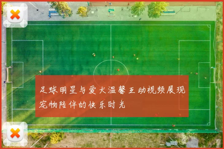 足球明星与爱犬温馨互动视频展现宠物陪伴的快乐时光