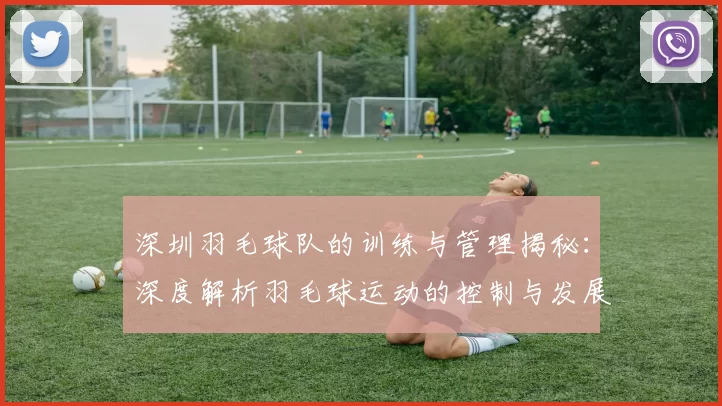 深圳羽毛球队的训练与管理揭秘：深度解析羽毛球运动的控制与发展