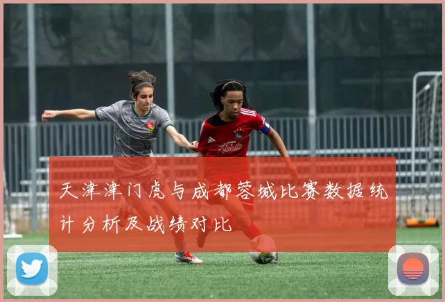 天津津门虎与成都蓉城比赛数据统计分析及战绩对比