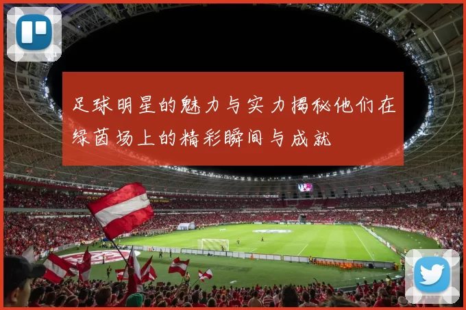 足球明星的魅力与实力揭秘他们在绿茵场上的精彩瞬间与成就