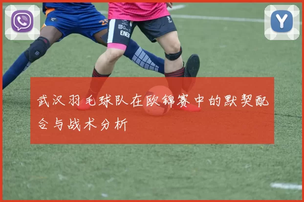 武汉羽毛球队在欧锦赛中的默契配合与战术分析