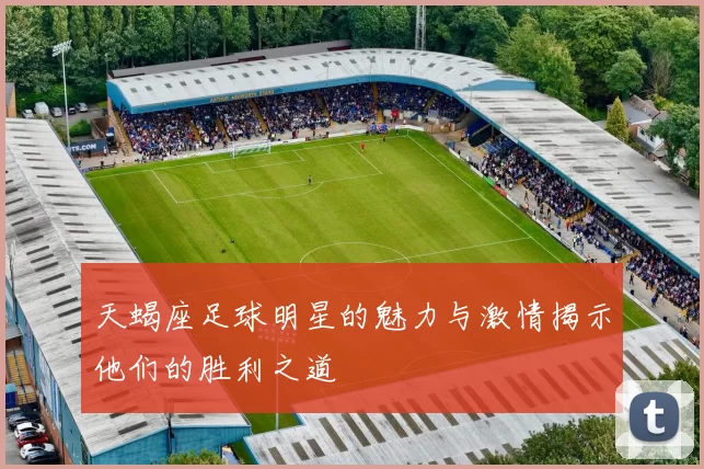 天蝎座足球明星的魅力与激情揭示他们的胜利之道
