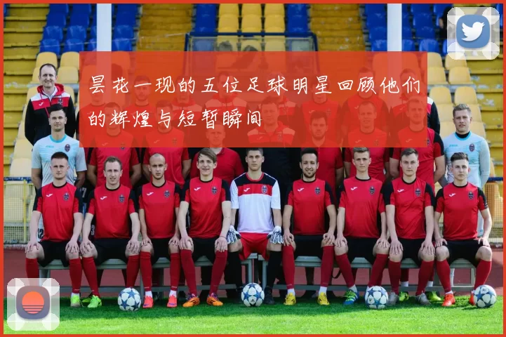 昙花一现的五位足球明星回顾他们的辉煌与短暂瞬间
