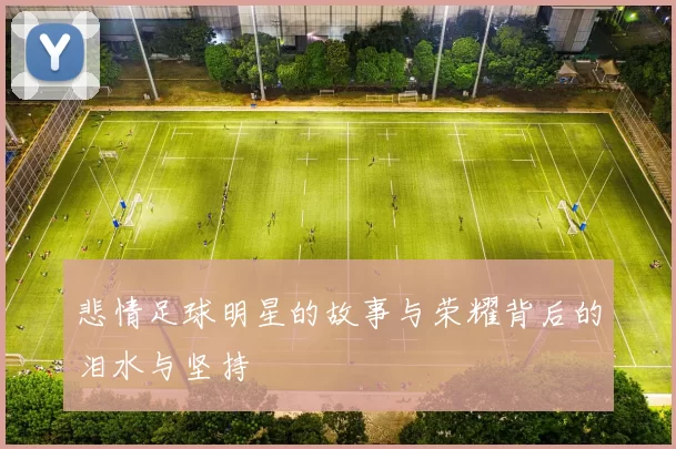 悲情足球明星的故事与荣耀背后的泪水与坚持