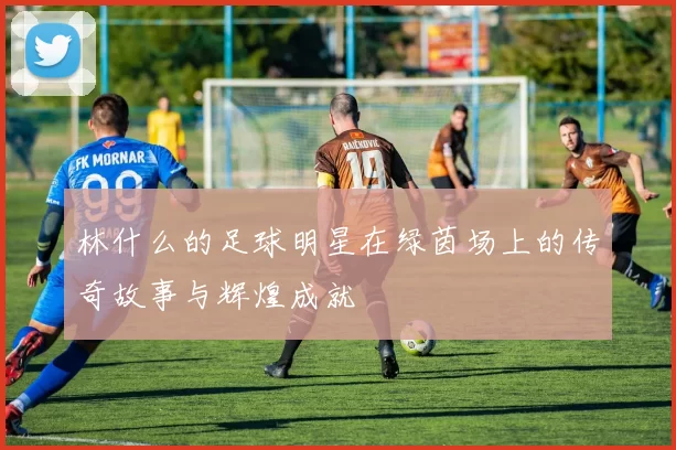 林什么的足球明星在绿茵场上的传奇故事与辉煌成就