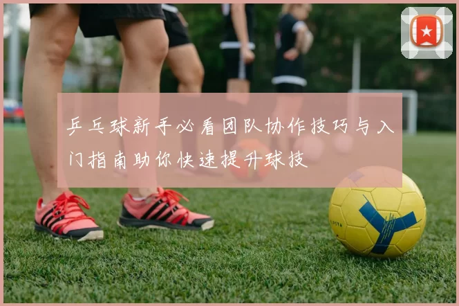 乒乓球新手必看团队协作技巧与入门指南助你快速提升球技