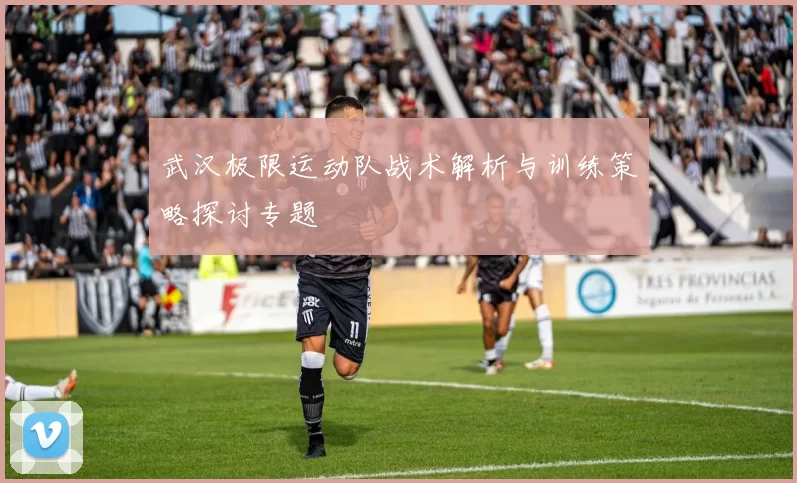 武汉极限运动队战术解析与训练策略探讨专题