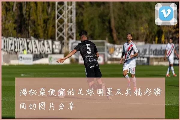 揭秘最便宜的足球明星及其精彩瞬间的图片分享