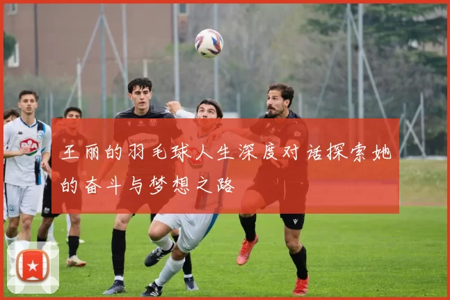 王丽的羽毛球人生深度对话探索她的奋斗与梦想之路