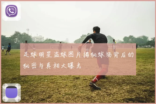 足球明星盗球图片揭秘球场背后的秘密与真相大曝光